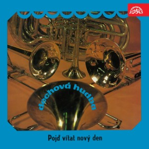 Listen to Květy kaštanů song with lyrics from Erika Bauerová