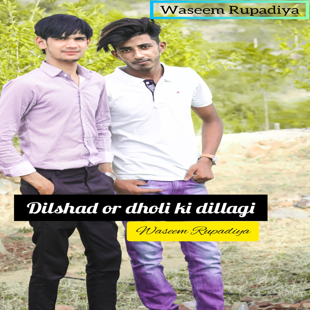 Dilshad Or Dholi Ki Dillagi (Hindi)