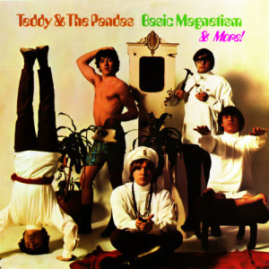 ดาวน์โหลดและฟังเพลง Shine a Little Light พร้อมเนื้อเพลงจาก Teddy & The Tigers