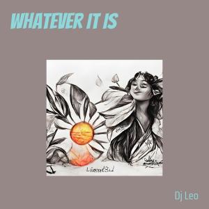 อัลบัม Whatever It Is ศิลปิน DJ Leo