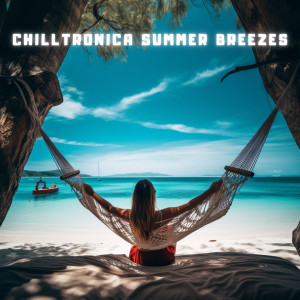 Various的專輯Chilltronica Summer Breezes