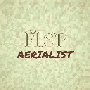 Various Artists的專輯Flop Aerialist