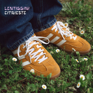 收听CITRIESTE的Lentiggini歌词歌曲