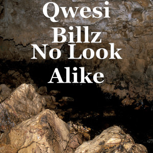 Dengarkan No Look Alike lagu dari Qwesi Billz dengan lirik