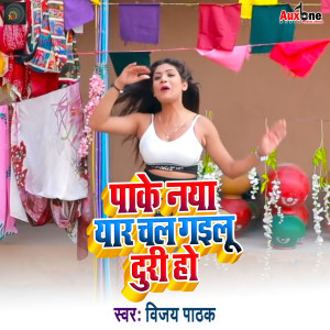 Dengarkan Pake Naya Chal Gailu Duri Ho lagu dari Vijay Pathak dengan lirik