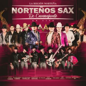 收聽La Región Norteña的En La Misma Cama (feat. Grupo Negable)歌詞歌曲