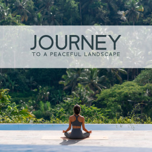 Album Journey to a Peaceful Landscape (Nature Sound Effects and Atmospheres for Meditation, Relaxation and Yoga (Visualization)) oleh Relaxation Area
