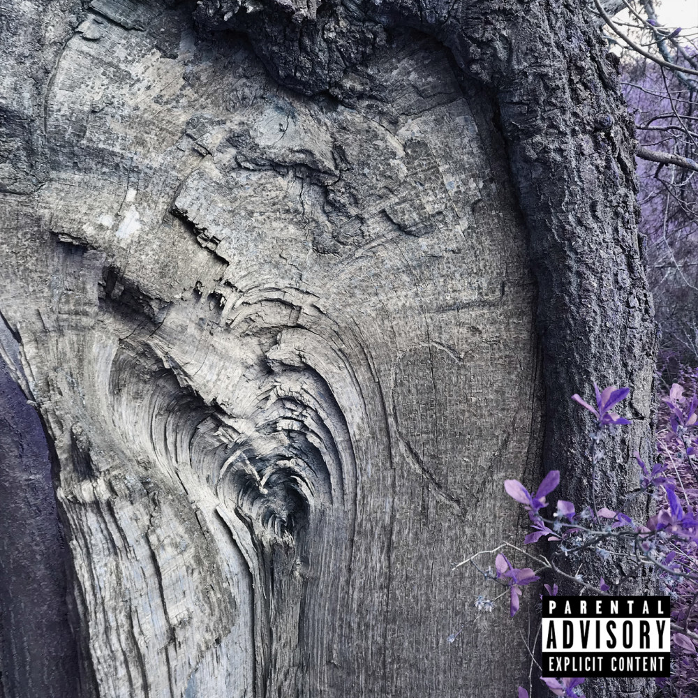 Tree Carvings (Explicit)
