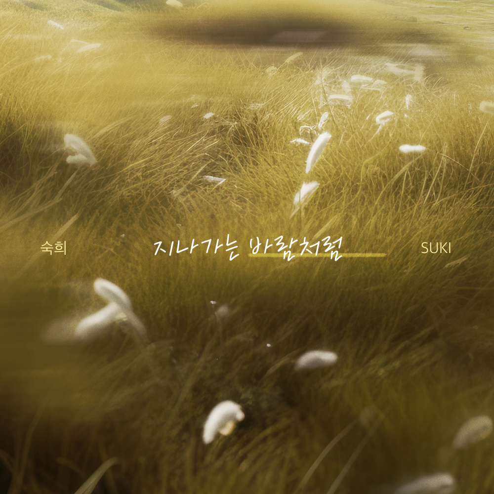 지나가는 바람처럼 (Instrumental)