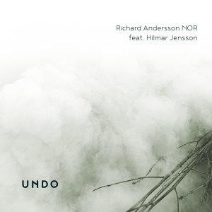 Richard Andersson的專輯Undo