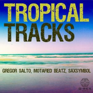 ดาวน์โหลดและฟังเพลง Samba de Liberdade (Anjiro Rijo remix) พร้อมเนื้อเพลงจาก Gregor Salto