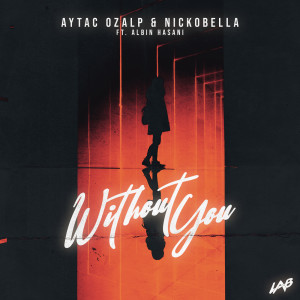 Aytac Ozalp的專輯Without You