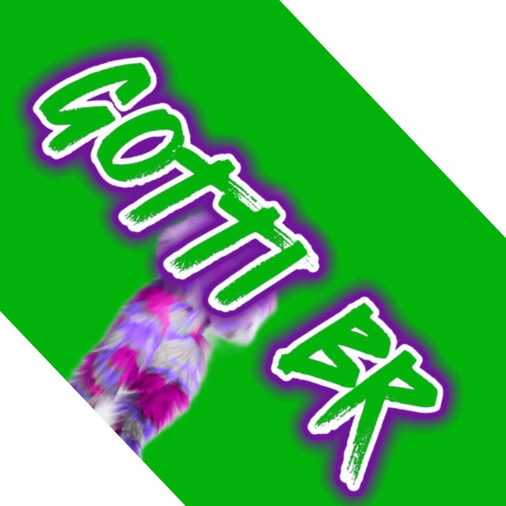 Gotti BR