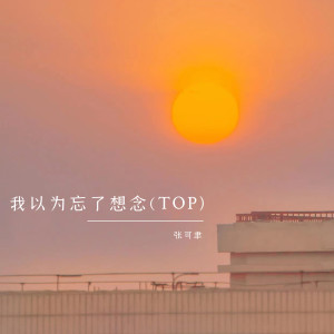 Listen to 我以为忘了想念 (TOP) song with lyrics from 张可聿