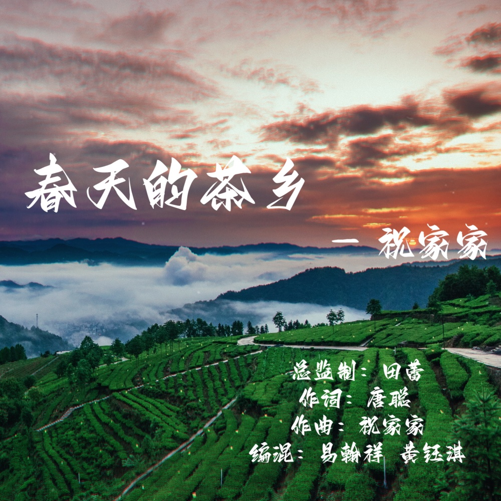 春天的茶乡 (完整版)
