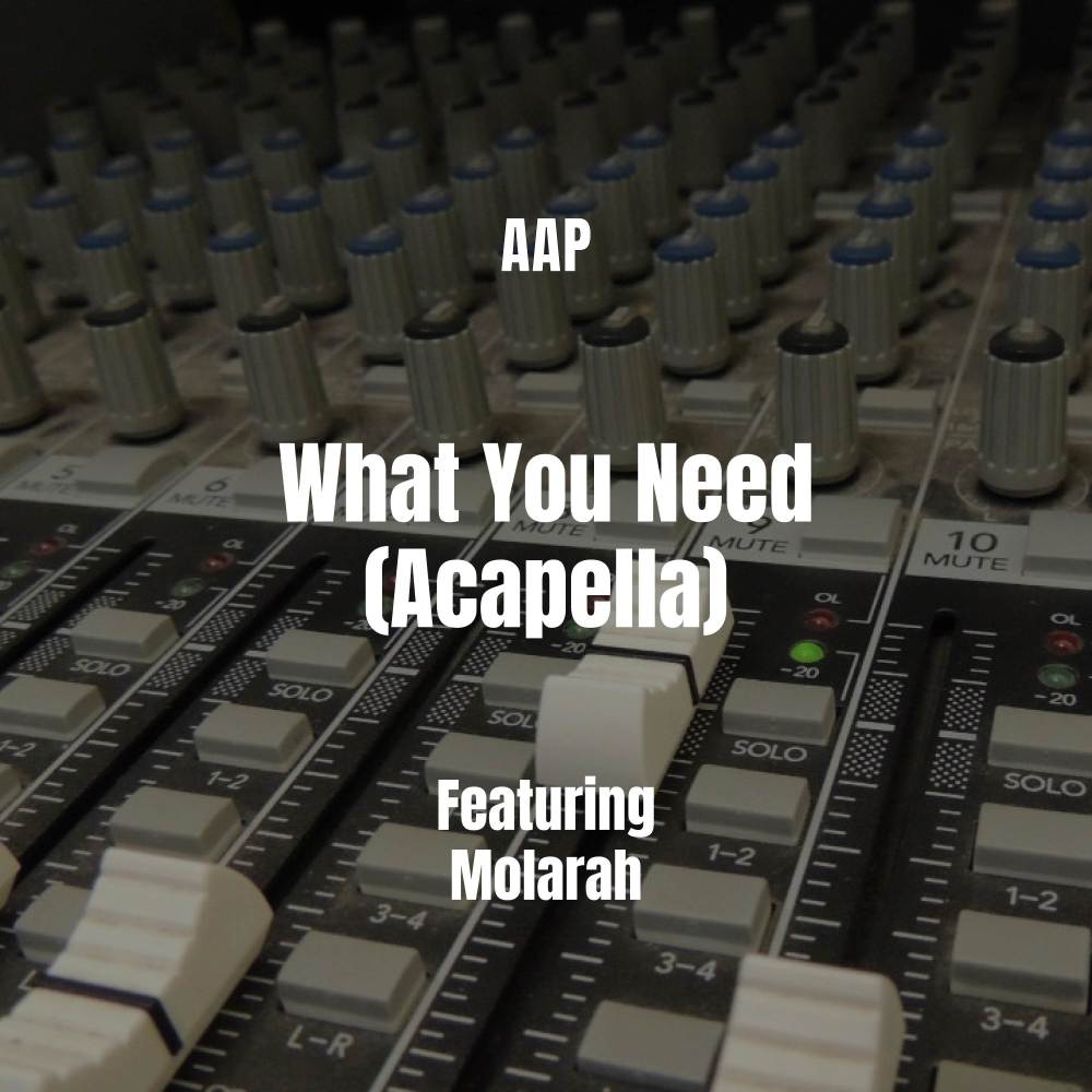 What You Need (Acapella|Explicit)