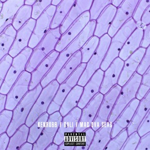 Listen to Get Dat (Explicit) (prod.AYNJO) song with lyrics from GALI