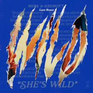 She's Wild (Lizot Remix)