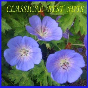 收聽The Castle String Quartet的Xerxes, HWV 40: Largo, "Ombra mai fu"歌詞歌曲