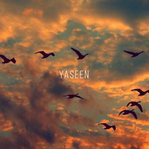 Album Surah Yaseen (Powerful) oleh Omar Hisham