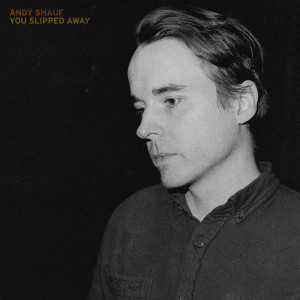 Andy Shauf的專輯You Slipped Away