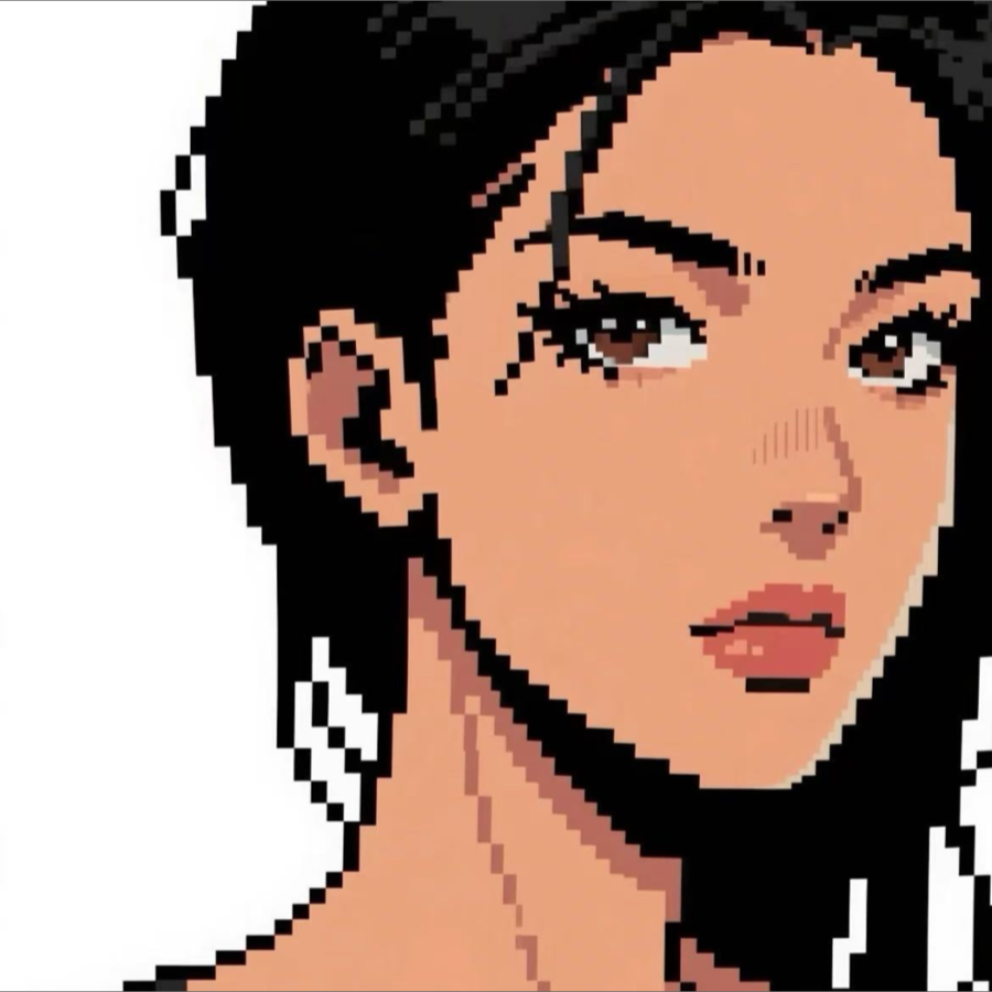 溯洄SH