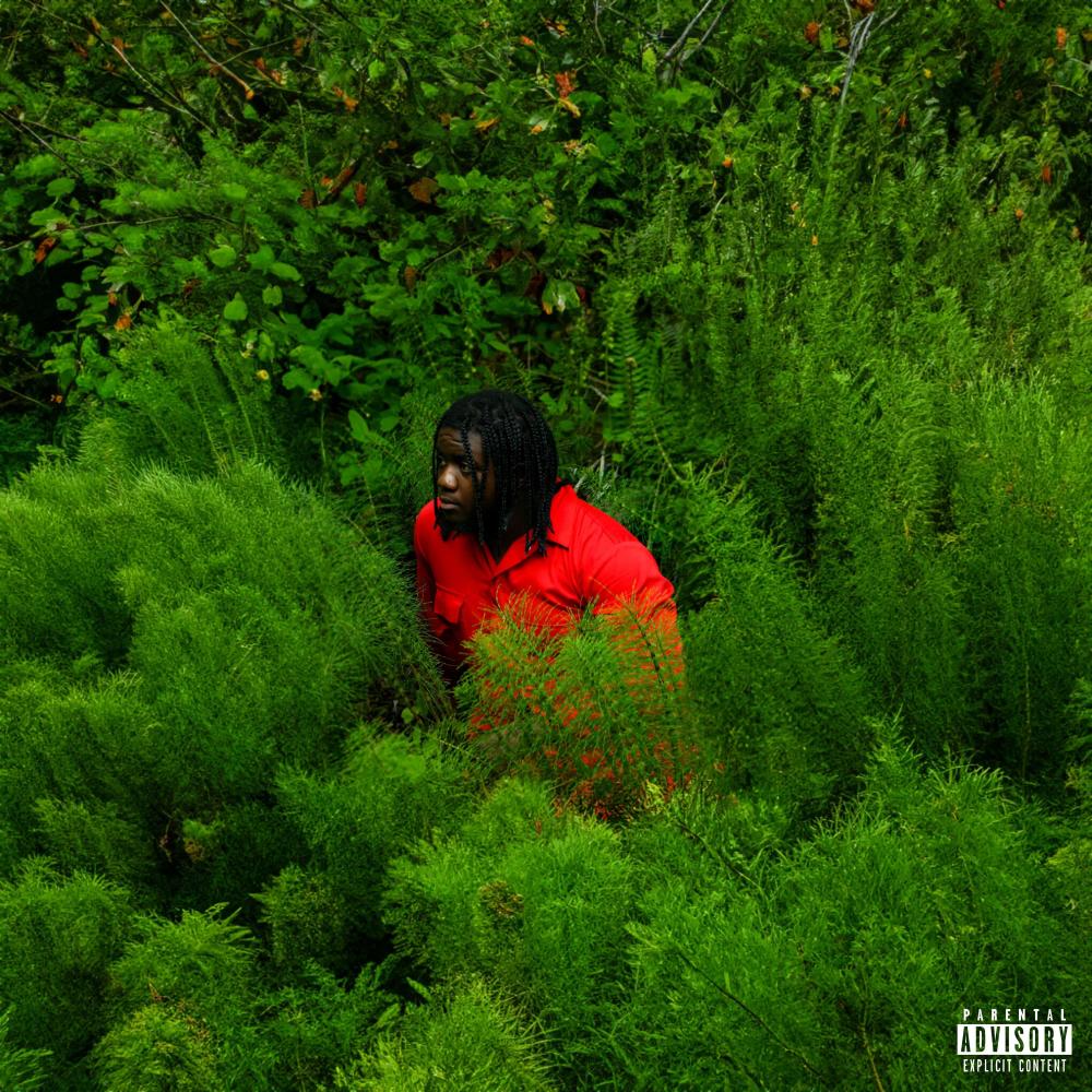 Green Room (Explicit)