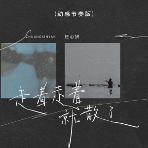 Album 走着走着就散了(动感节奏版) from Ada (庄心妍)