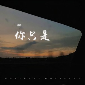 格格的专辑你只是