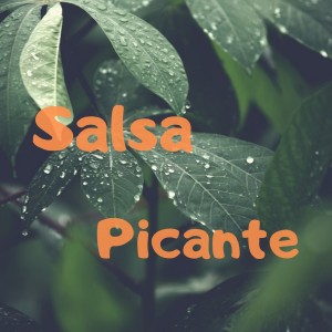 Listen to Sigue Tu Camino song with lyrics from Oscar D'León