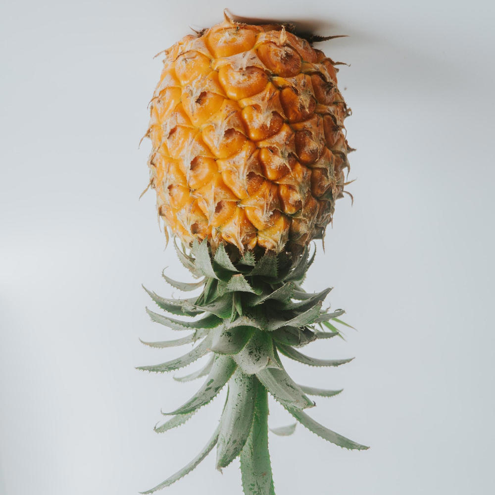 Upside Down Pineapple