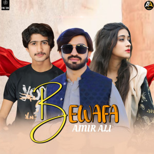 Amir Ali的专辑Bewafa