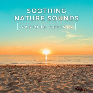 Listen to This Year's Love song with lyrics from KPR Sounds