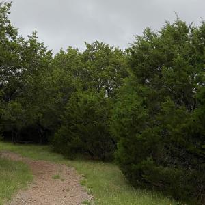 ดาวน์โหลดและฟังเพลง run (Explicit) พร้อมเนื้อเพลงจาก Wantrr