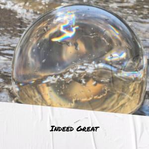 Album Indeed Great from Various
