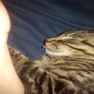 Dengarkan 待簽收 lagu dari 朱正廷 dengan lirik