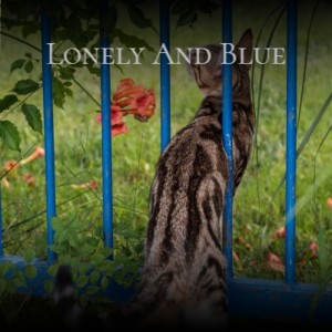 Listen to Lonely and Blue song with lyrics from Eddie Safranski