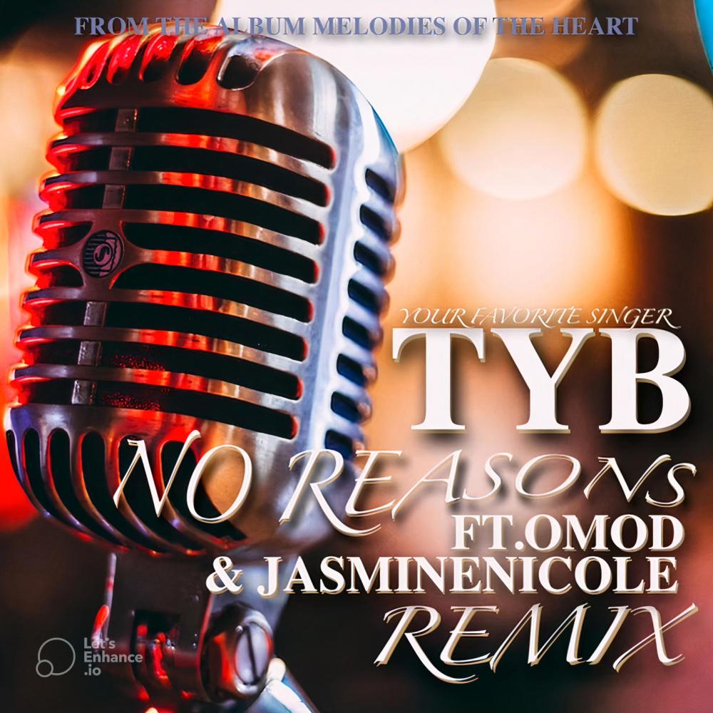 No Reasons (feat. JasmineNicole & Omod) (Remix) (Explicit)