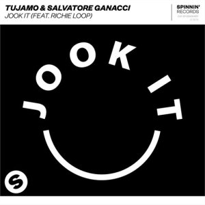 收聽Tujamo的Jook It (feat. Richie Loop) [Extended Mix] (Extended Mix)歌詞歌曲