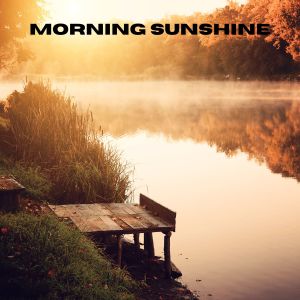 อัลบัม Morning Sunshine ศิลปิน The White Noise Zen & Meditation Sound Lab