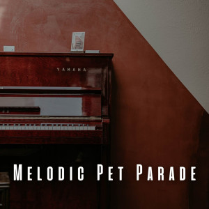 Dengarkan Paws and Piano Harmony lagu dari Classical New Age Piano Music dengan lirik