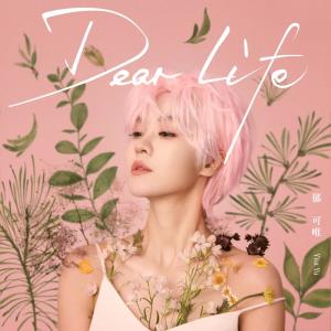 Listen to Dear Life song with lyrics from Yisa (郁可唯)