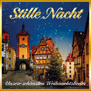 收聽Michael Theodore的Stille Nacht, heilige Nacht歌詞歌曲