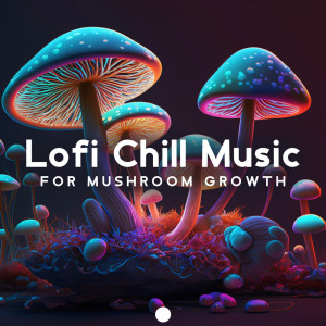 Lofi Chill Music for Mushroom Growth (Time for Hobbies, Instant Growth, Privacy, Soundspace) dari Free Time Paradise