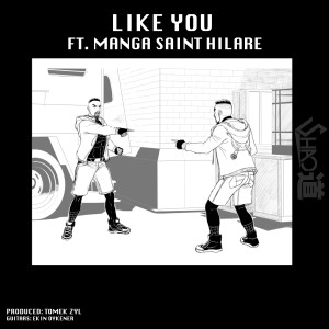 ดาวน์โหลดและฟังเพลง Like You (Explicit) พร้อมเนื้อเพลงจาก Shao Dow