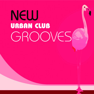 收聽Silvia Natiello-Spiller的Coral Grove (Perky Club mix)歌詞歌曲