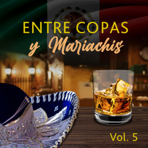 อัลบัม Entre Copas y Mariachis (VOL 5) ศิลปิน Various Artists