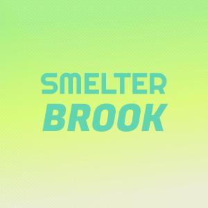 อัลบัม Smelter Brook ศิลปิน Various