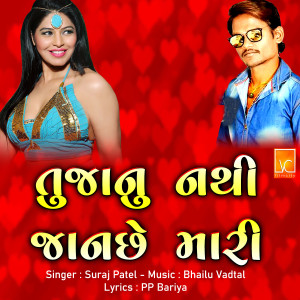 Listen to Tu Janu Nathi Jaan Che Mari song with lyrics from Suraj Patel