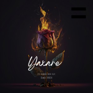 Album YAXARE from Demba Tandia